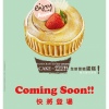 Handcrafted Ice-cream Cake by enjoy Appolo!!